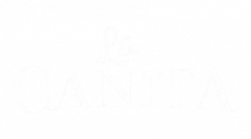 Gemini_Generated_Image_jj1ya0jj1ya0jj1y-removebg-preview